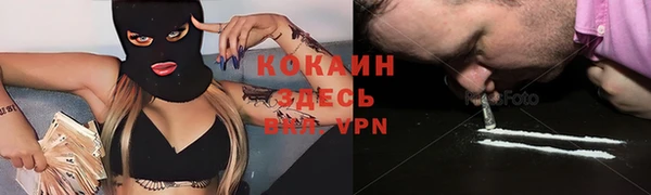 бошки Богданович