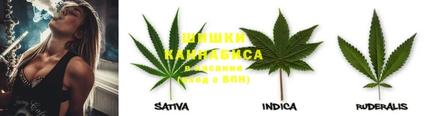 spice Белокуриха