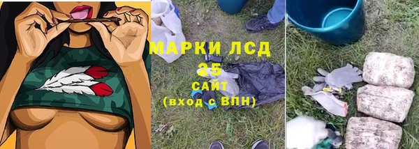 гидра Белоозёрский