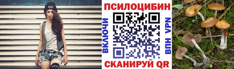дарнет шоп Баксан Галлюциногенные грибы мухоморы